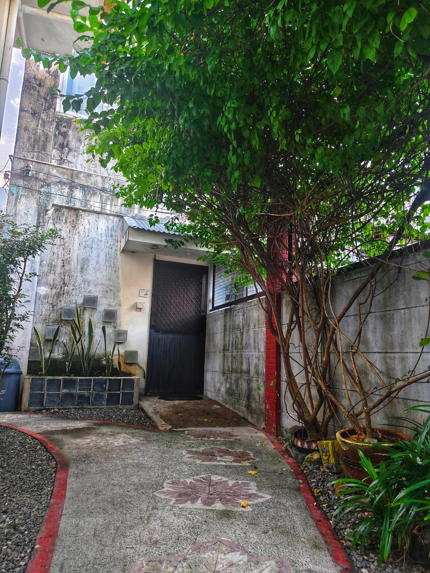 Monte Rio Gardens Bed & Breakfast Alaminos Bagian luar foto